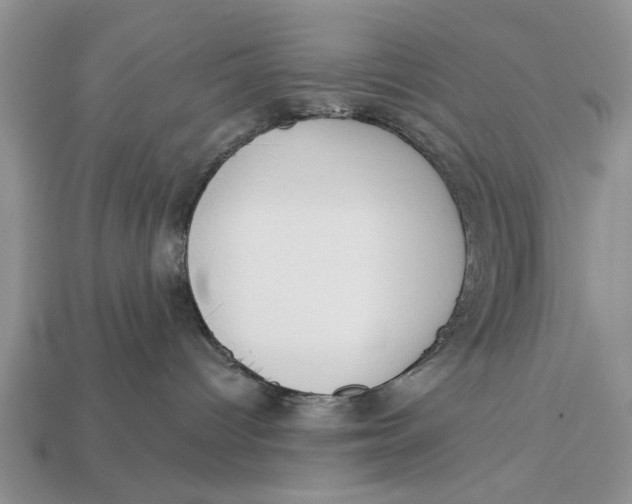 X0000112960096200909171306