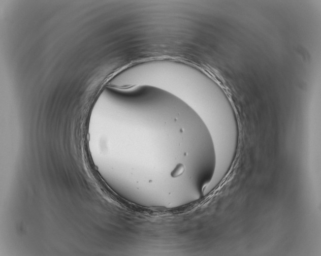 X0000112960097200909171306