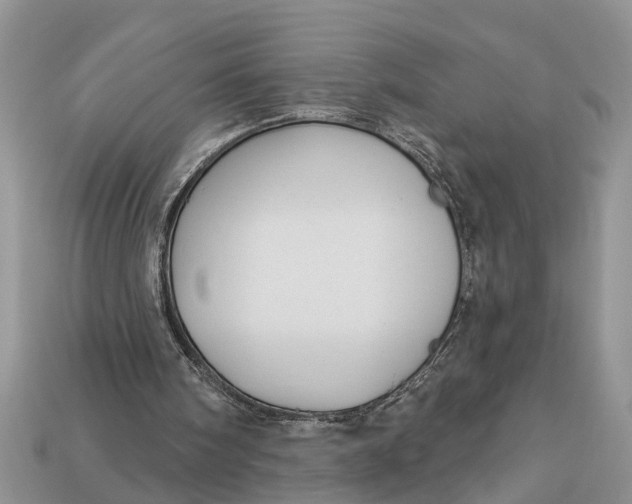 X0000112960098200909171306