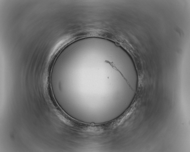 X0000112960101200909171306