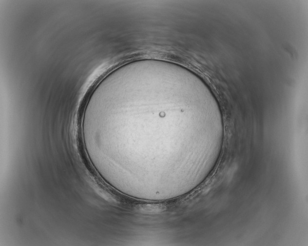 X0000112960102200909171306