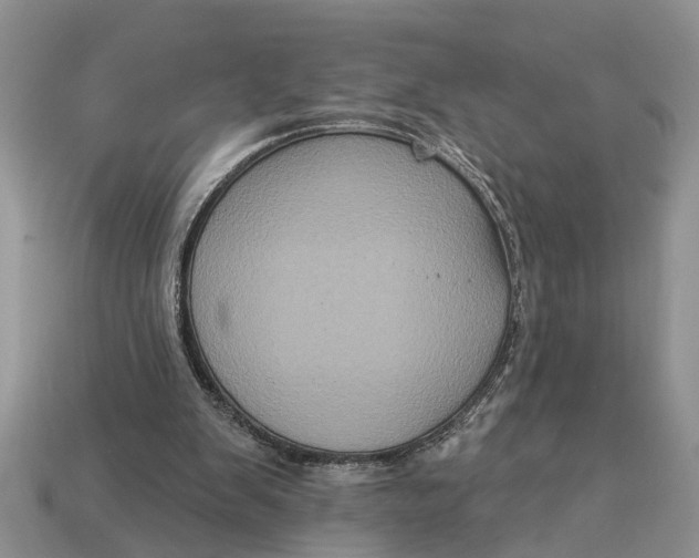 X0000112960103200909171306