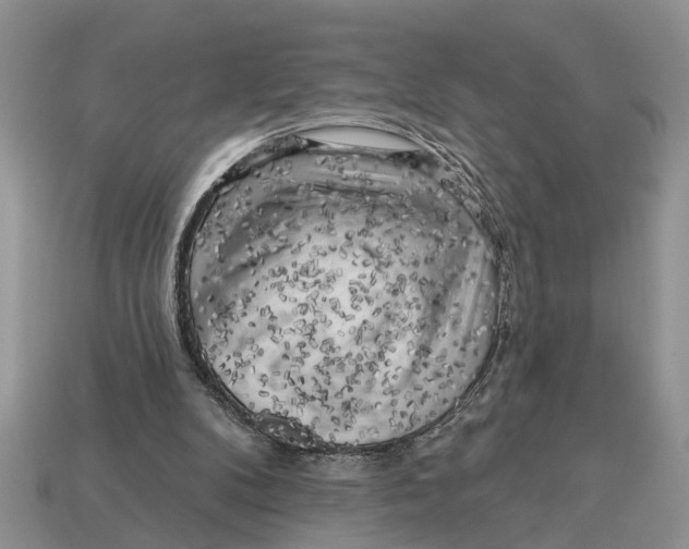 X0000112960104200909171305