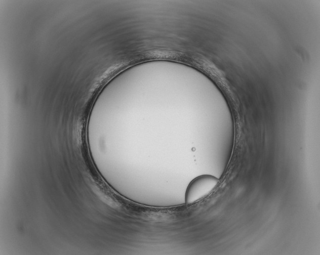 X0000112960106200909171305