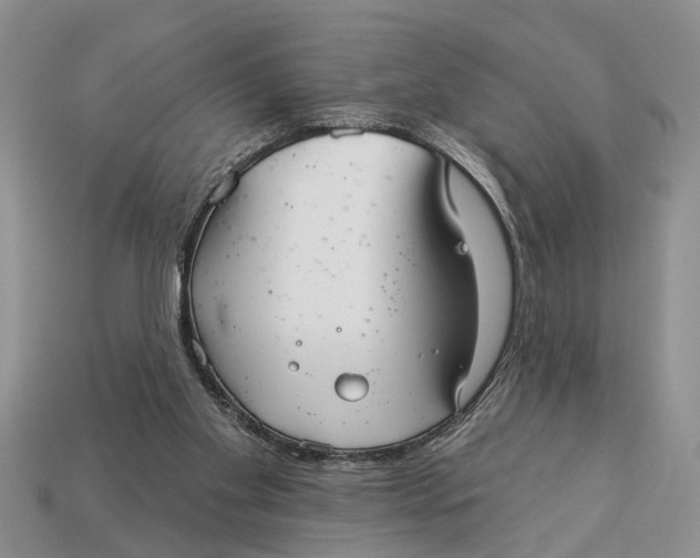 X0000112960109200909171305