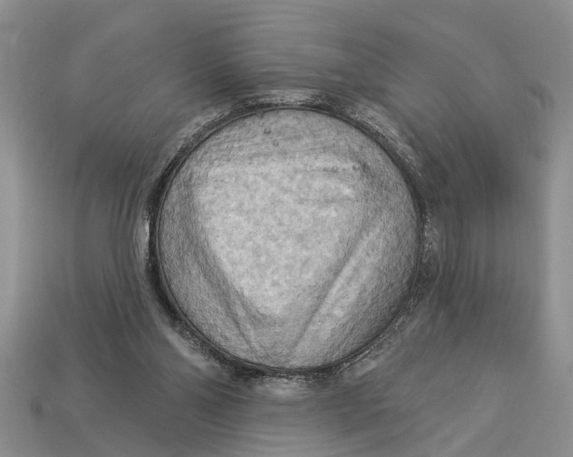 X0000112960110200909171305