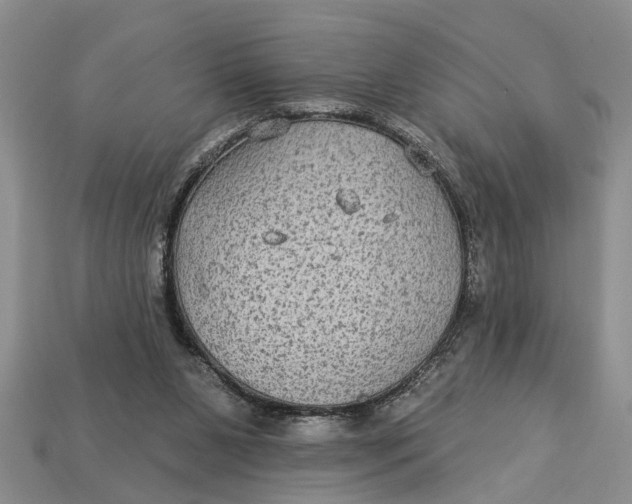 X0000112960111200909171305