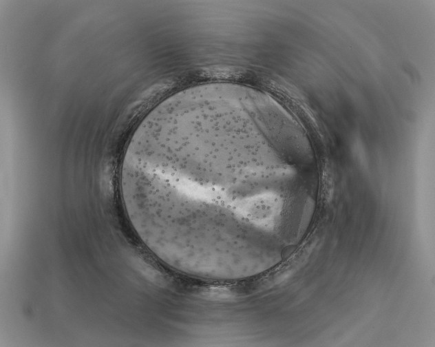 X0000112960114200909171305