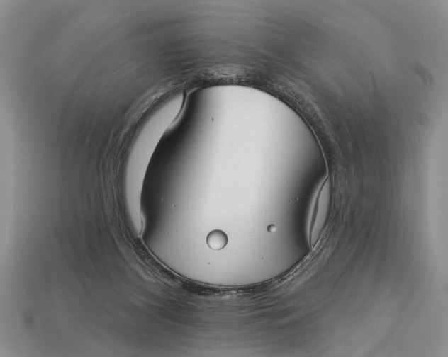 X0000112960116200909171305