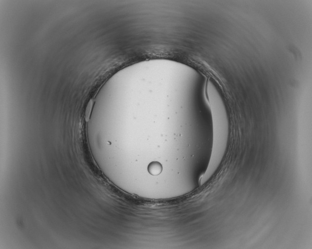 X0000112960117200909171305