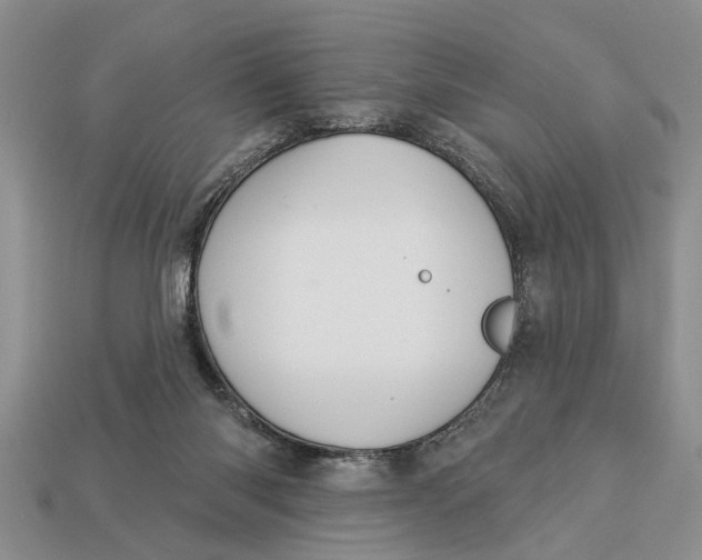 X0000112960118200909171305