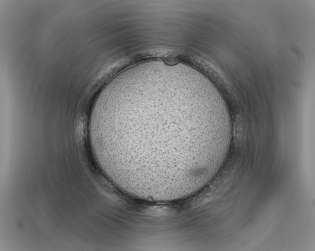 X0000112960119200909171305