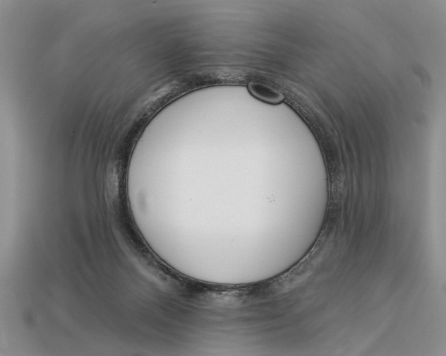 X0000112960120200909171305