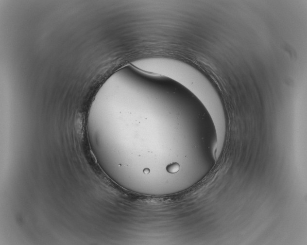 X0000112960121200909171305