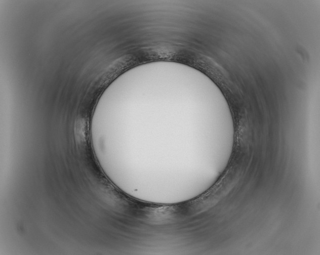 X0000112960122200909171305