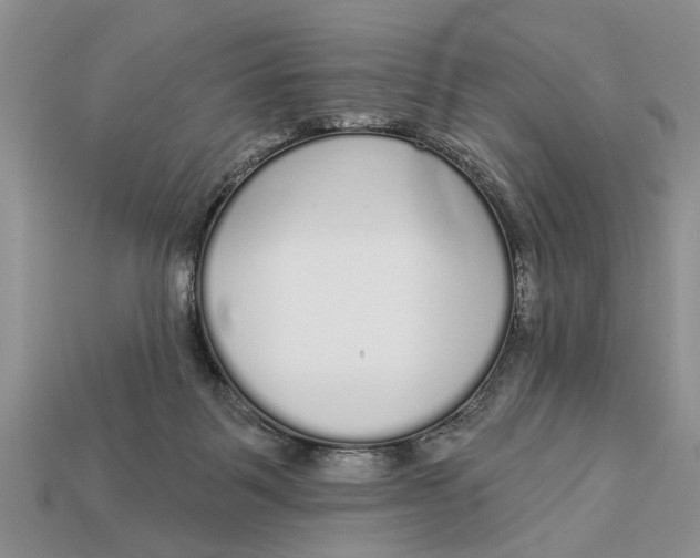 X0000112960123200909171305