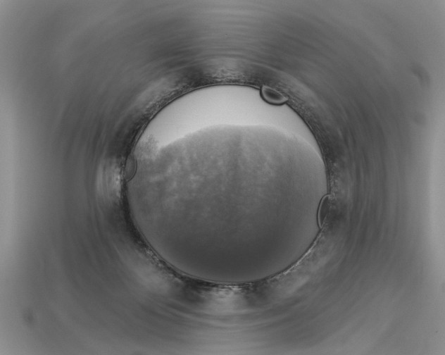 X0000112960124200909171305