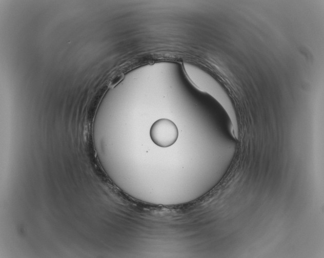 X0000112960125200909171305