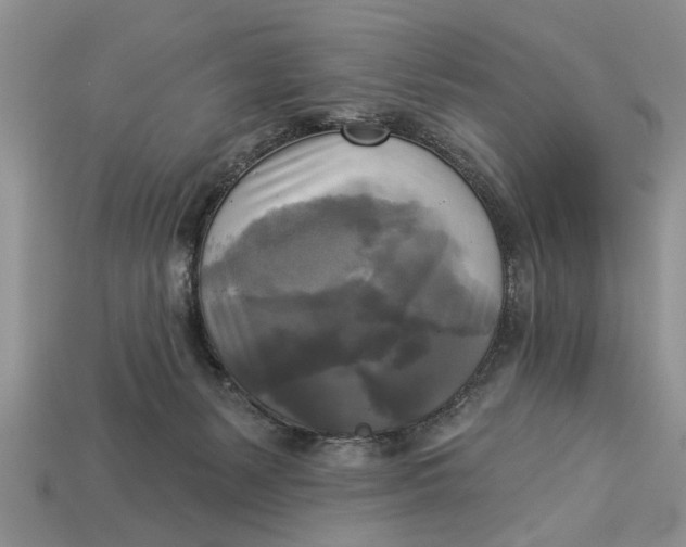 X0000112960127200909171305