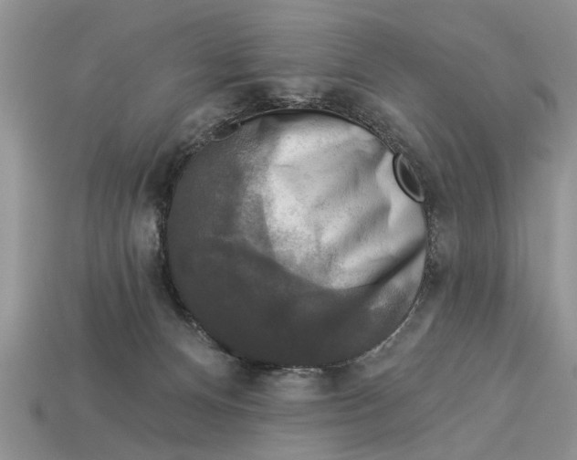 X0000112960128200909171305