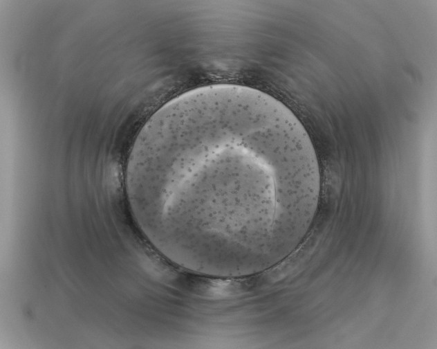 X0000112960130200909171305