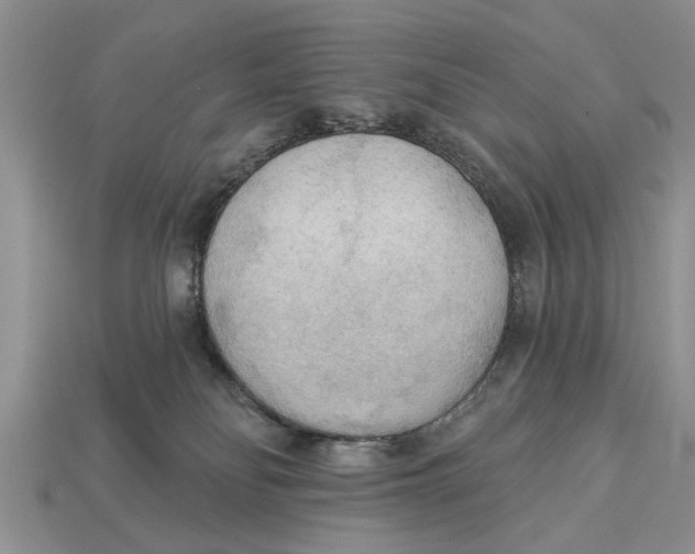 X0000112960134200909171305