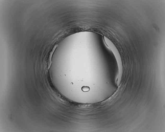 X0000112960136200909171305