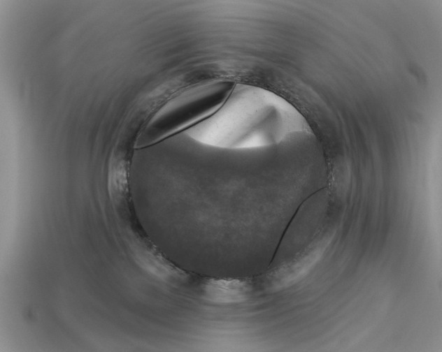 X0000112960137200909171305