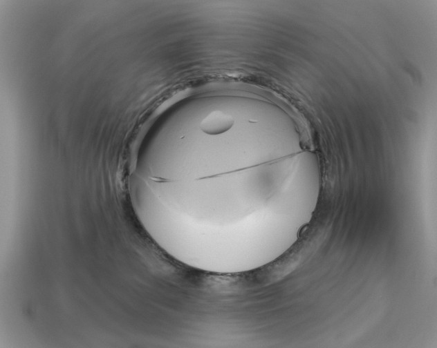 X0000112960139200909171305