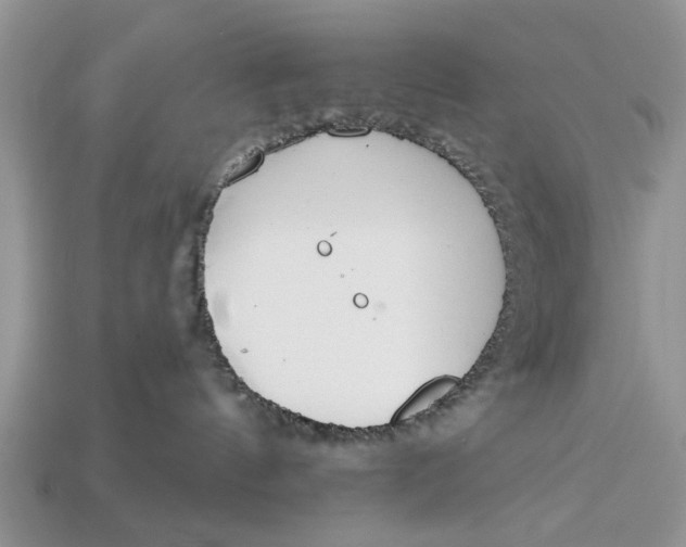 X0000112960144200909171305