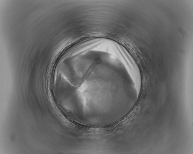 X0000112960145200909171304