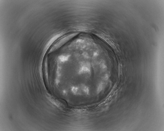 X0000112960147200909171304