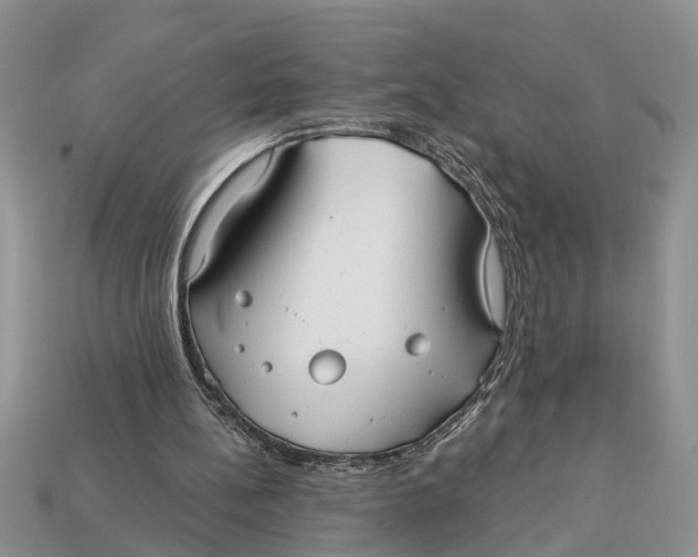 X0000112960148200909171304