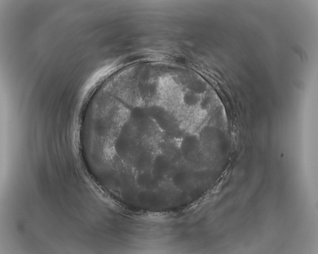 X0000112960149200909171304