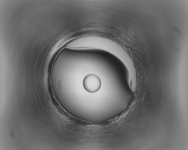 X0000112960150200909171304