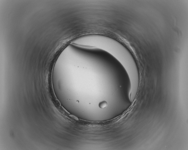 X0000112960154200909171304