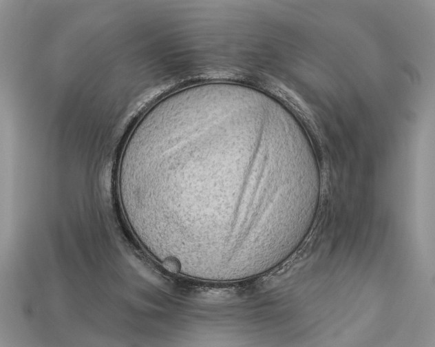 X0000112960155200909171304