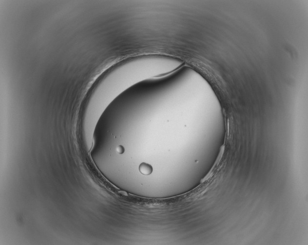 X0000112960156200909171305