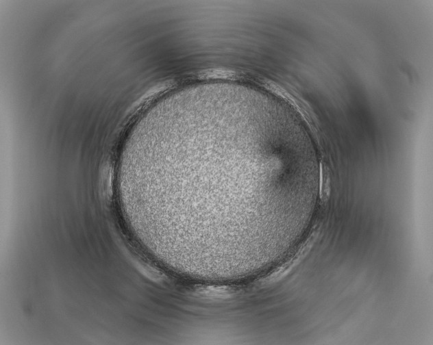 X0000112960157200909171305