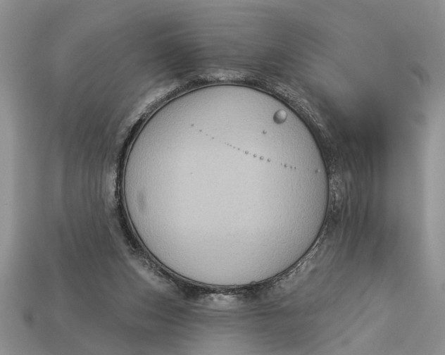 X0000112960159200909171305