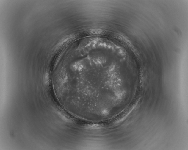 X0000112960161200909171305