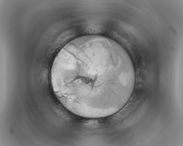 X0000112960162200909171305