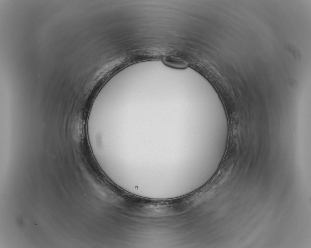 X0000112960164200909171305