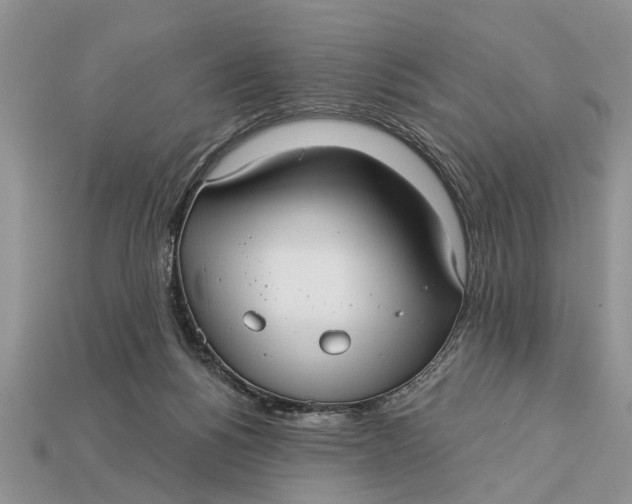 X0000112960168200909171305