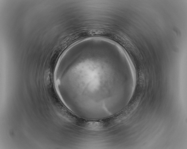 X0000112960169200909171305