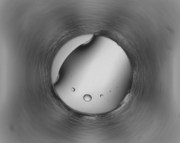 X0000112960170200909171305