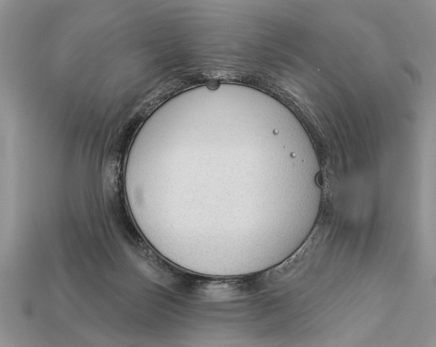 X0000112960171200909171305