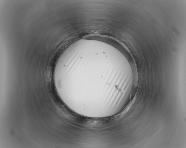 X0000112960174200909171305