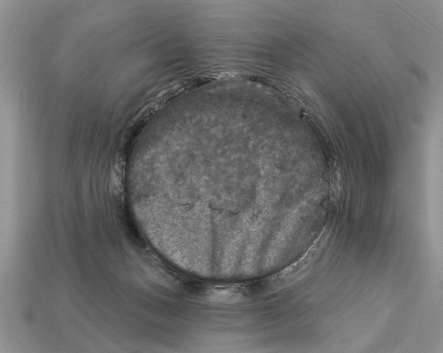 X0000112960175200909171305