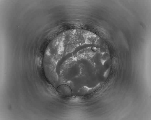 X0000112960177200909171305